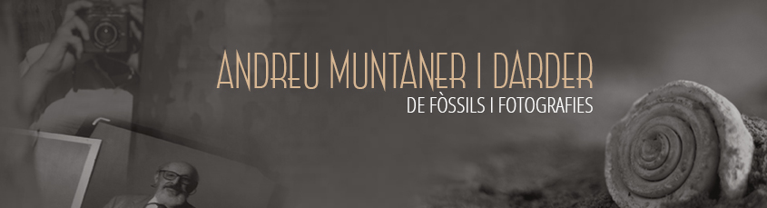 Andreu Muntaner i Darder. De fòssils i fotografies